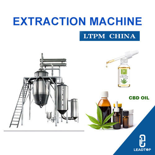 Последние новости компании о Лесото получает наличными внутри на целебном заграждении конопли по мере того как великобританская фирма раскрывает фабрику CBD