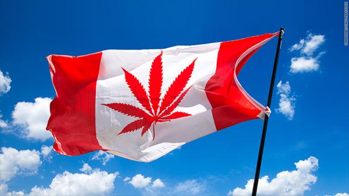 покупатели конопли Канады дают наркотики рыноку
