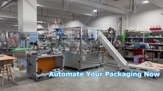 Вертикальная ротационная картонажная машина ZH100