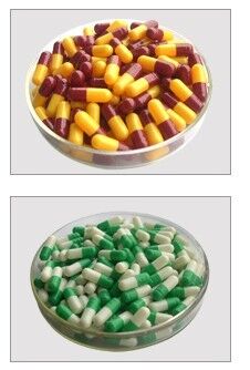 Хорошая цена Фармацевтические капсулы геля размера 3 ранга пустые от желатина косточки скотин онлайн